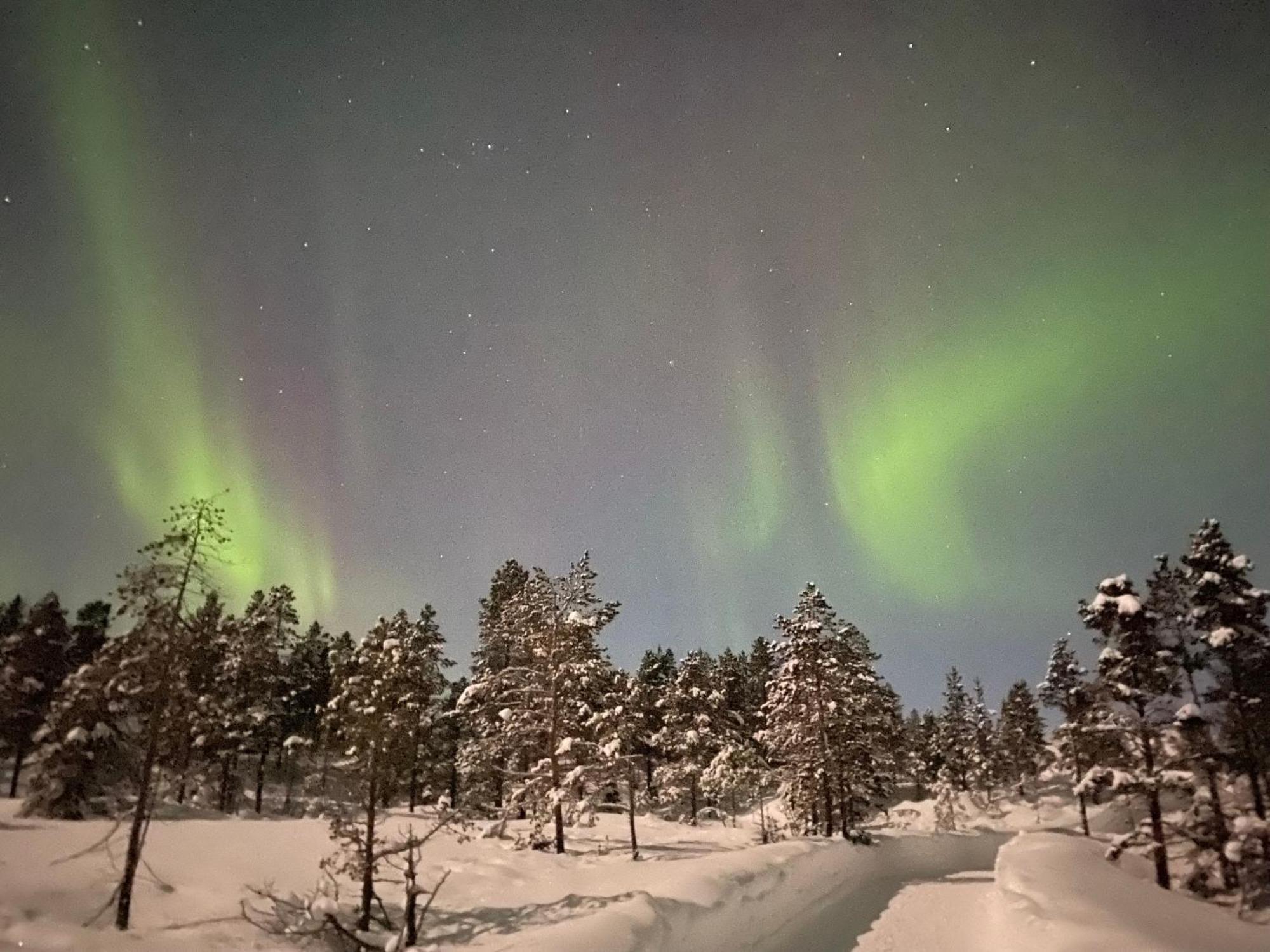 Malangen Lodge Mestervik المظهر الخارجي الصورة