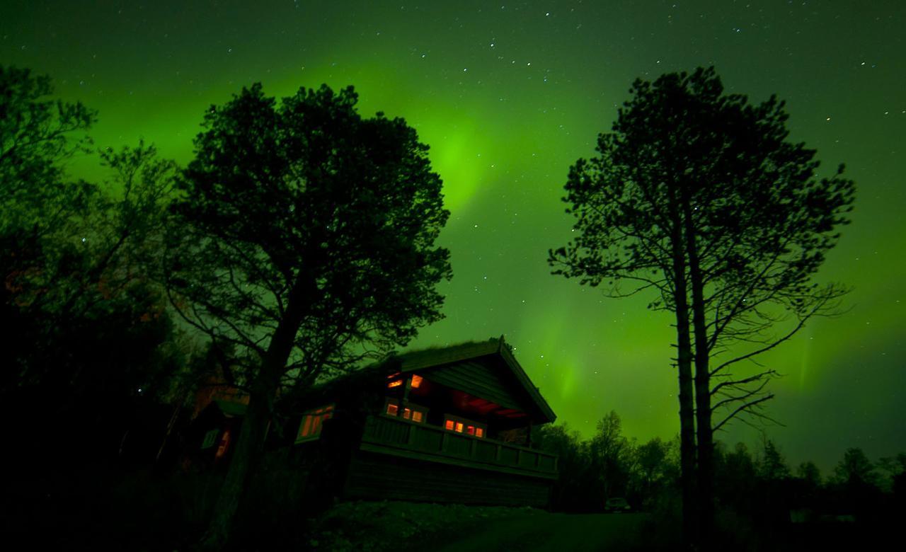 Malangen Lodge Mestervik المظهر الخارجي الصورة