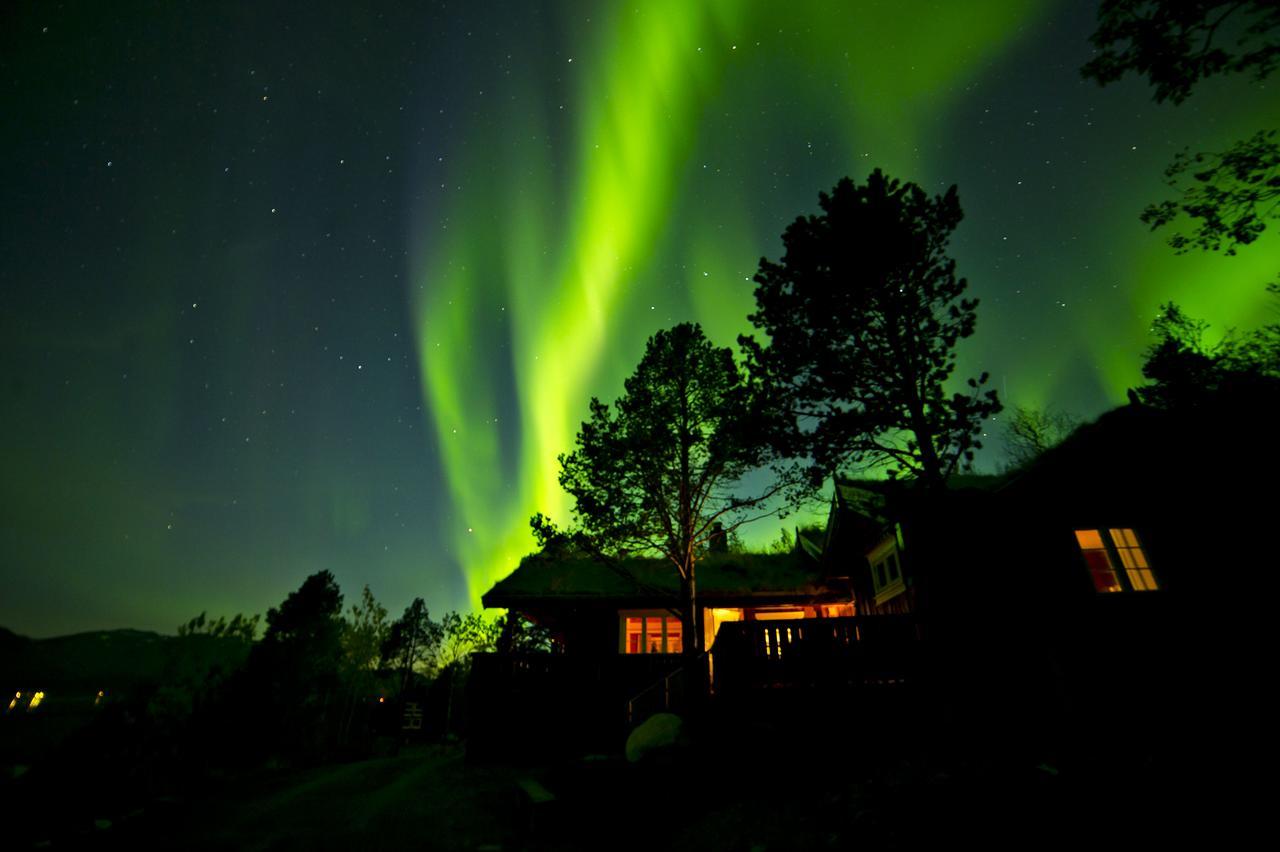 Malangen Lodge Mestervik المظهر الخارجي الصورة