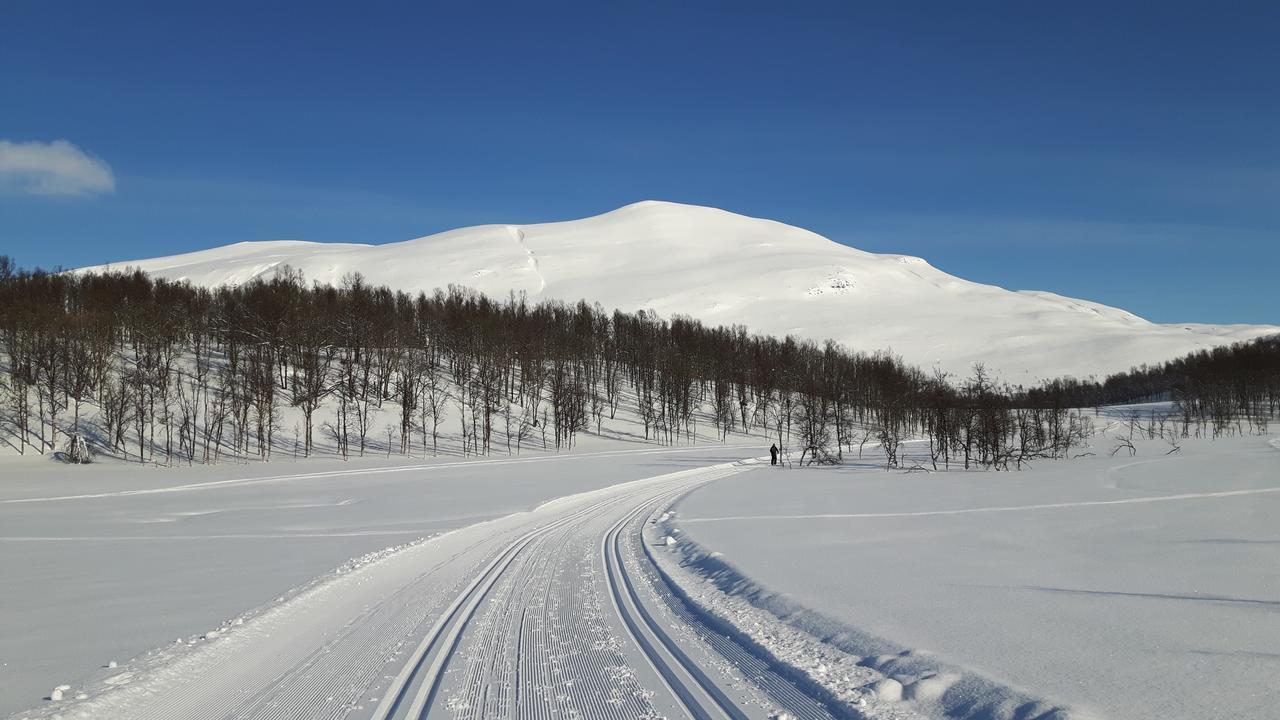 Malangen Lodge Mestervik المظهر الخارجي الصورة