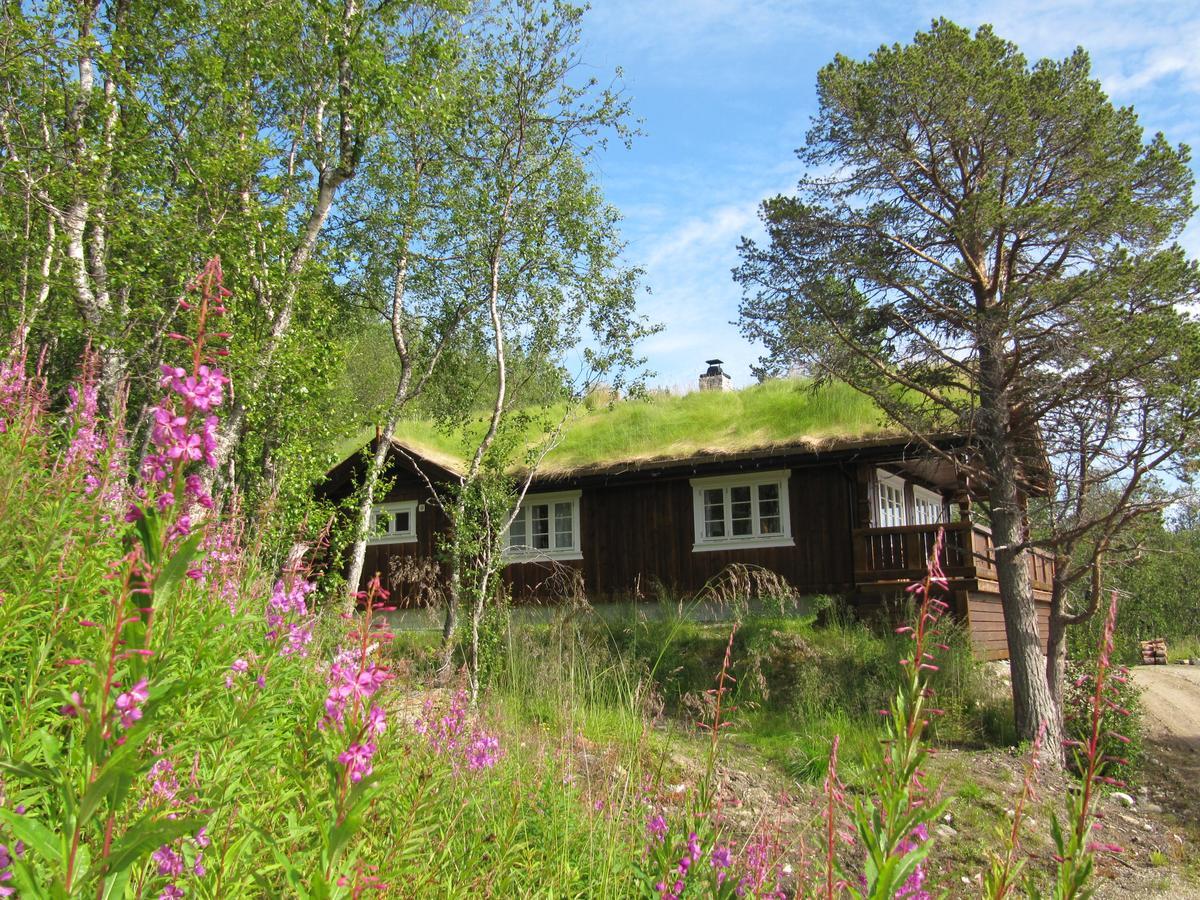 Malangen Lodge Mestervik المظهر الخارجي الصورة
